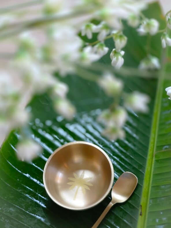 Akshaya Patra – Brass Dessert Bowls with Spoons (Set of 2)