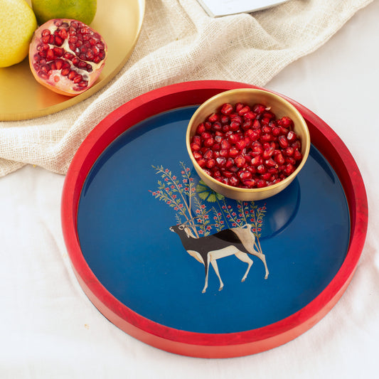 Kṛṣṇamṛga Tray