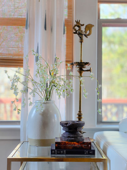 Bijani – The Antique Wooden Seeder